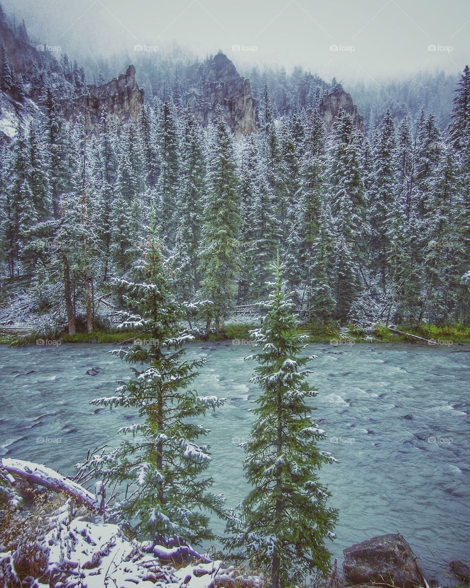 Snake River Montana