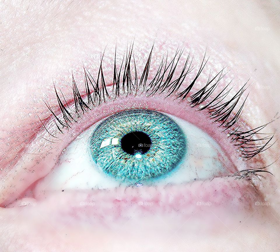 Extreme close-up of Person eye