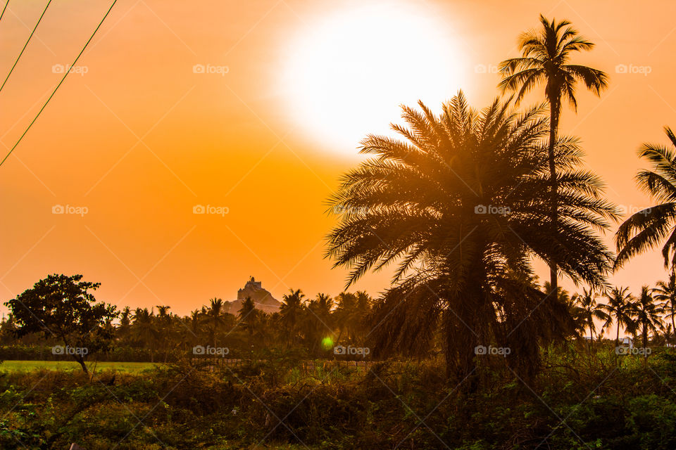 orange colour story 