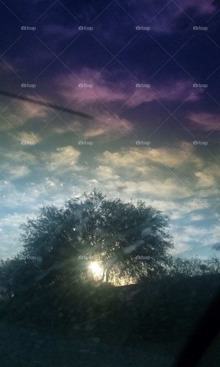 A. light shining THRU,  I believe 
It,s the Sun Looking and Beaming thru
A Big Tree with Leaves  , coming thru 
Ever so Brightly at me.
How pretty a picture this became 
To be... With Colors in the Clouds 
This is truly a picture to me.