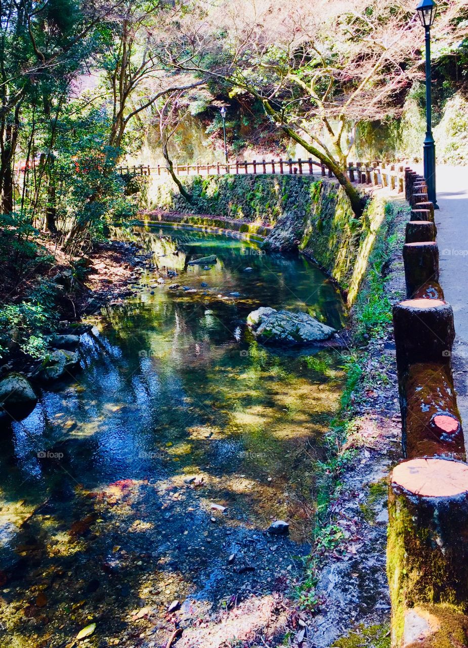 spring is almost there