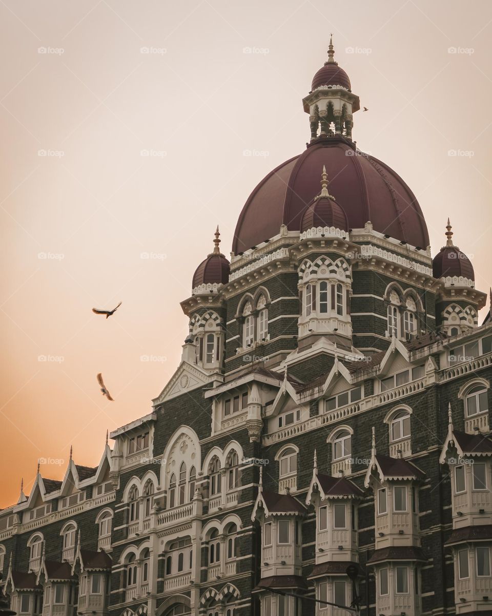 The great taj hotel of mumbai, best hotel in mumbai with top level hospitality!