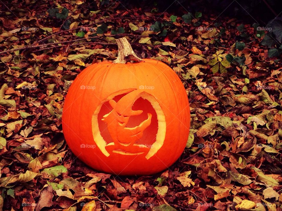 Witch jack-o-lantern