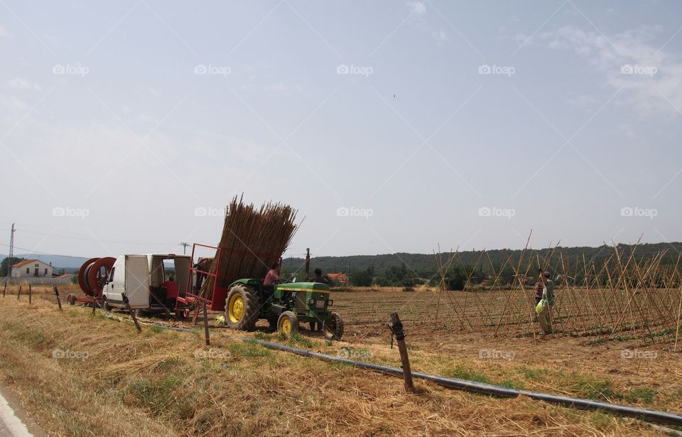 Working in the field with tractor
