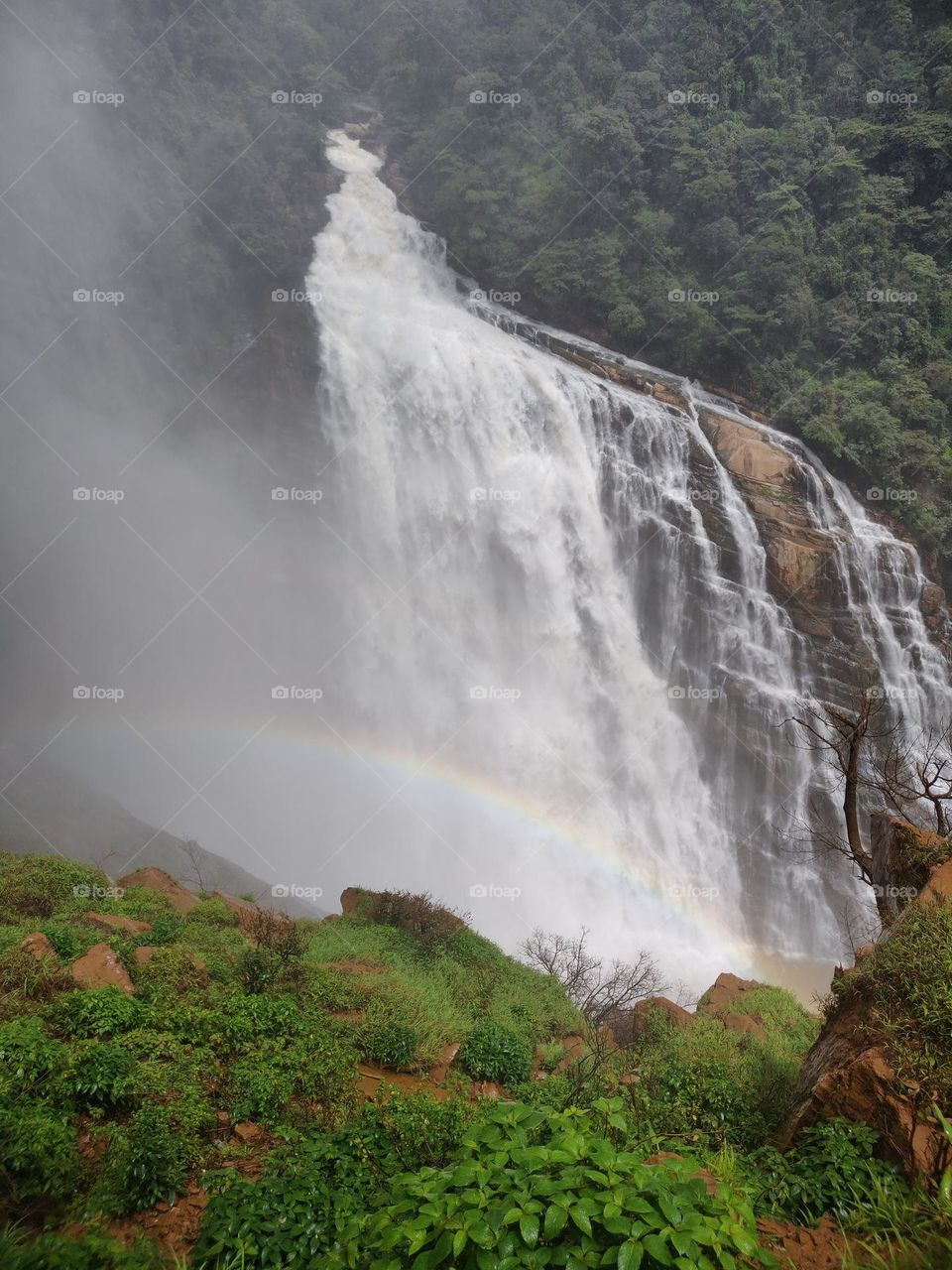 Almighty Waterfall flowing from top of mountain. Rainbow view, Greenery all around, Nature at its best.