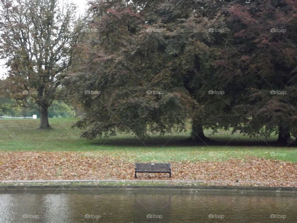 Park Bench In Autumn