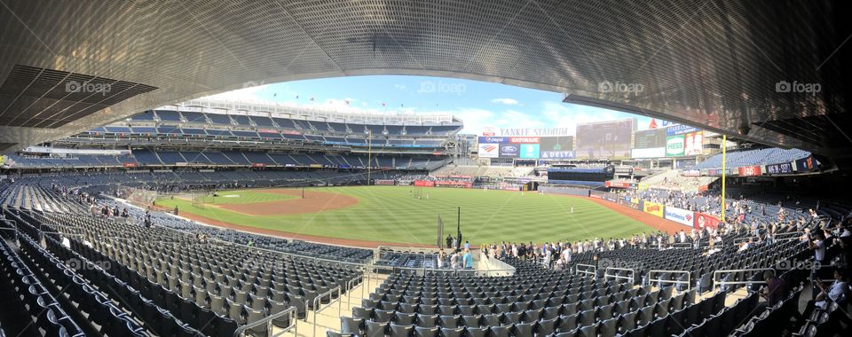 Yankee field