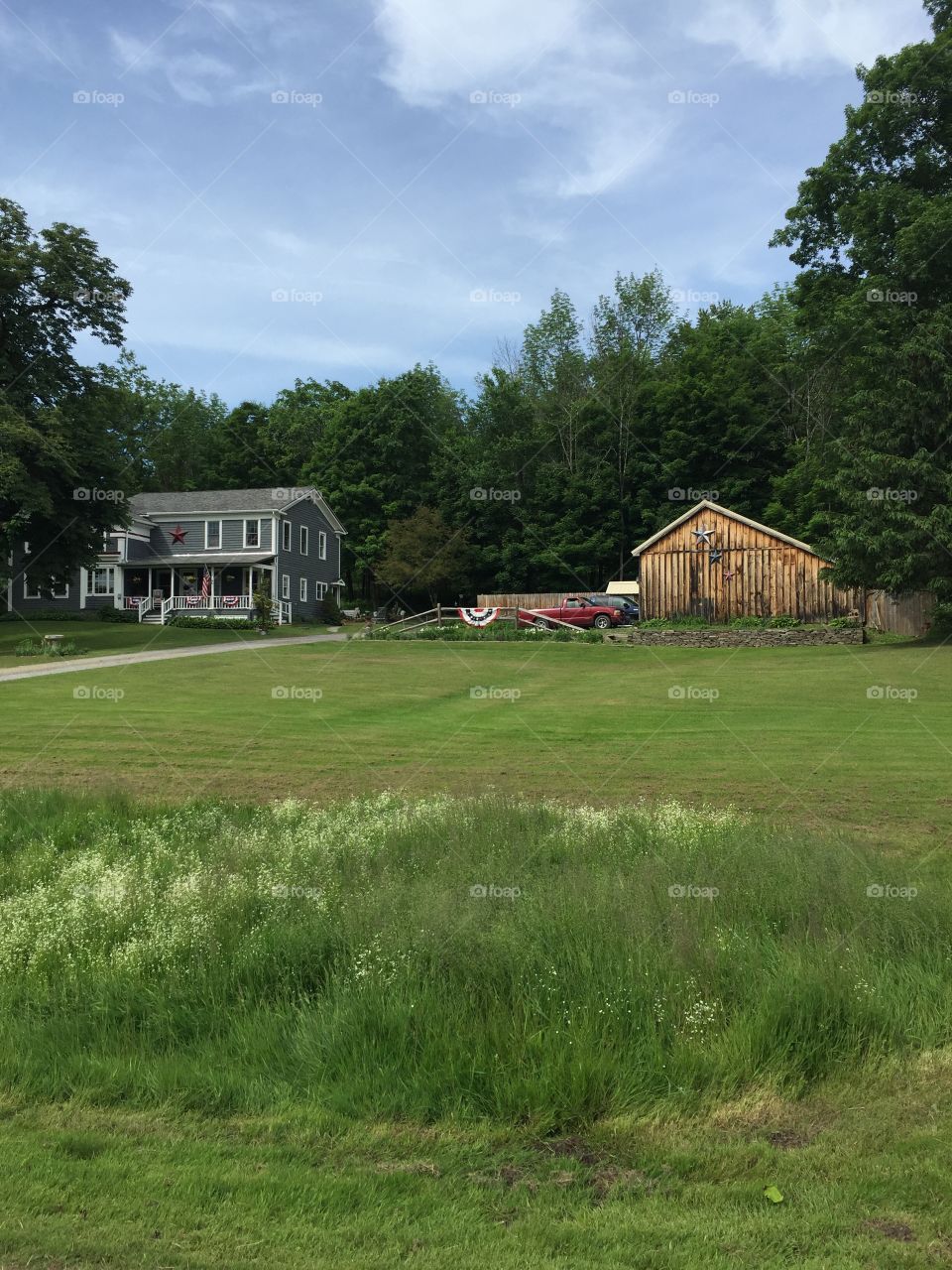 June in the farm 