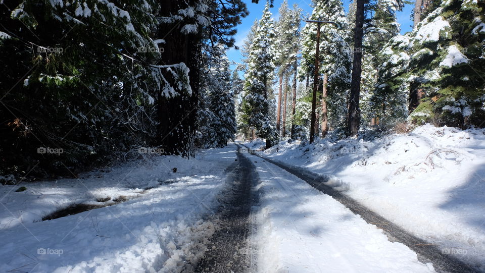 Snow covered road after a snowstorm in western USA.