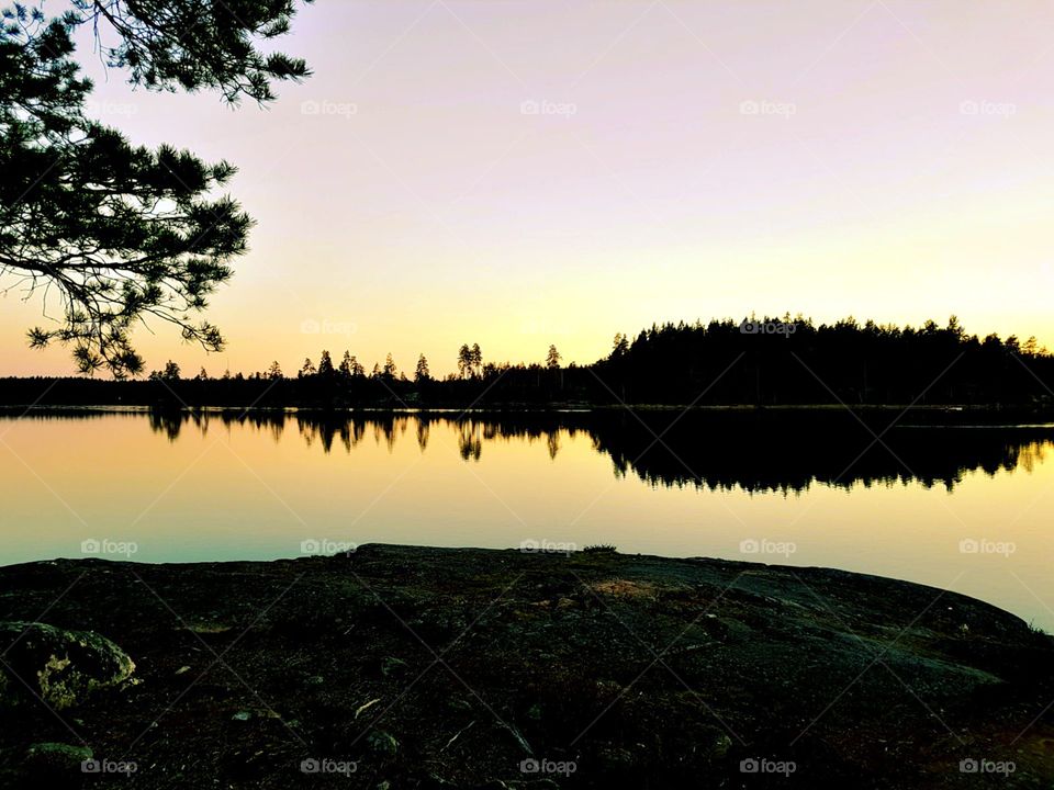 lake at evening water reflection tree
