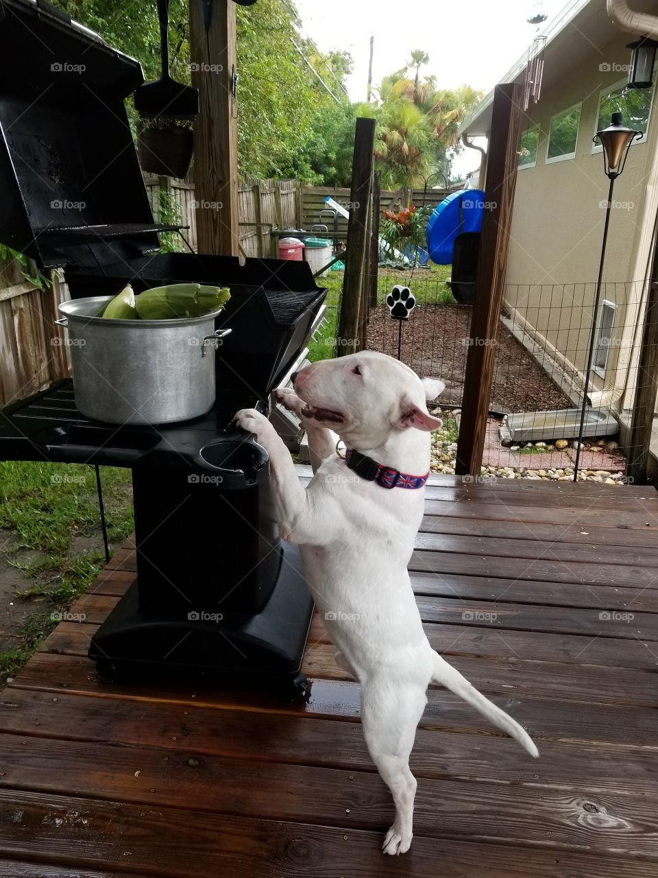 I like to help my people cook