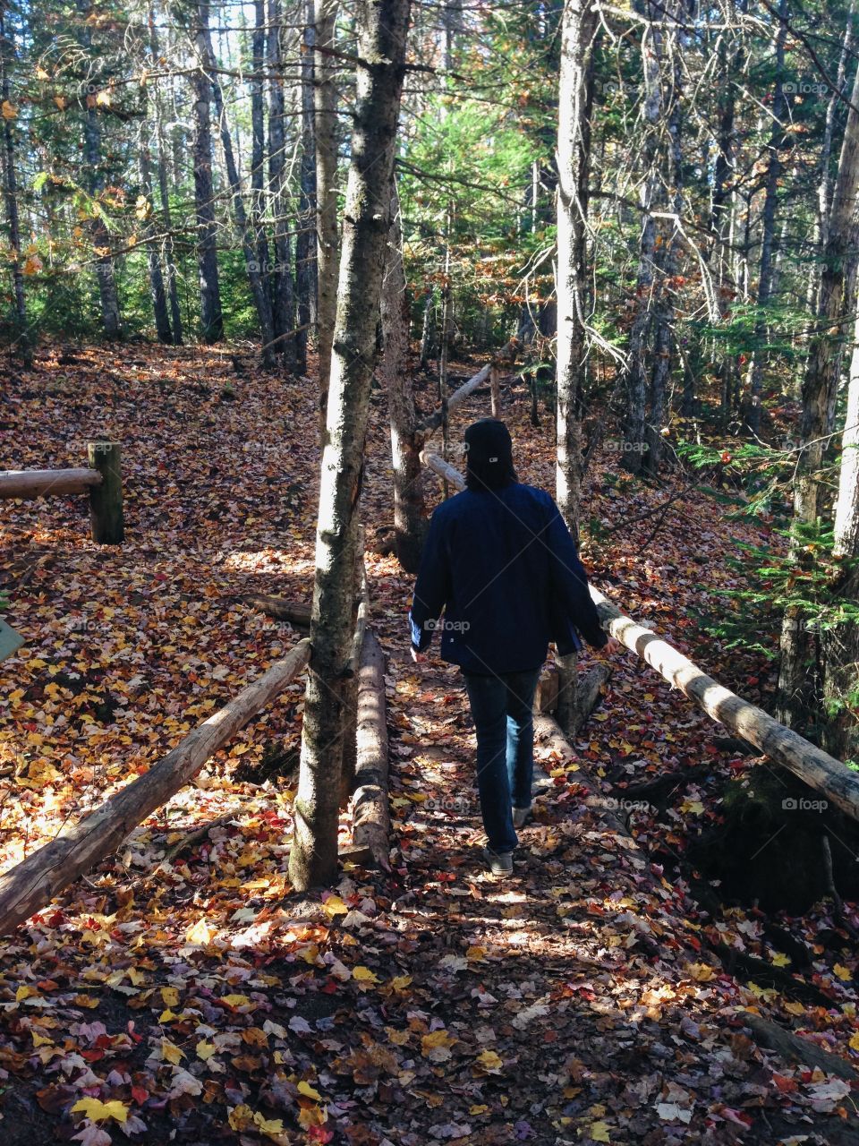 Autumn Strolls 🍂