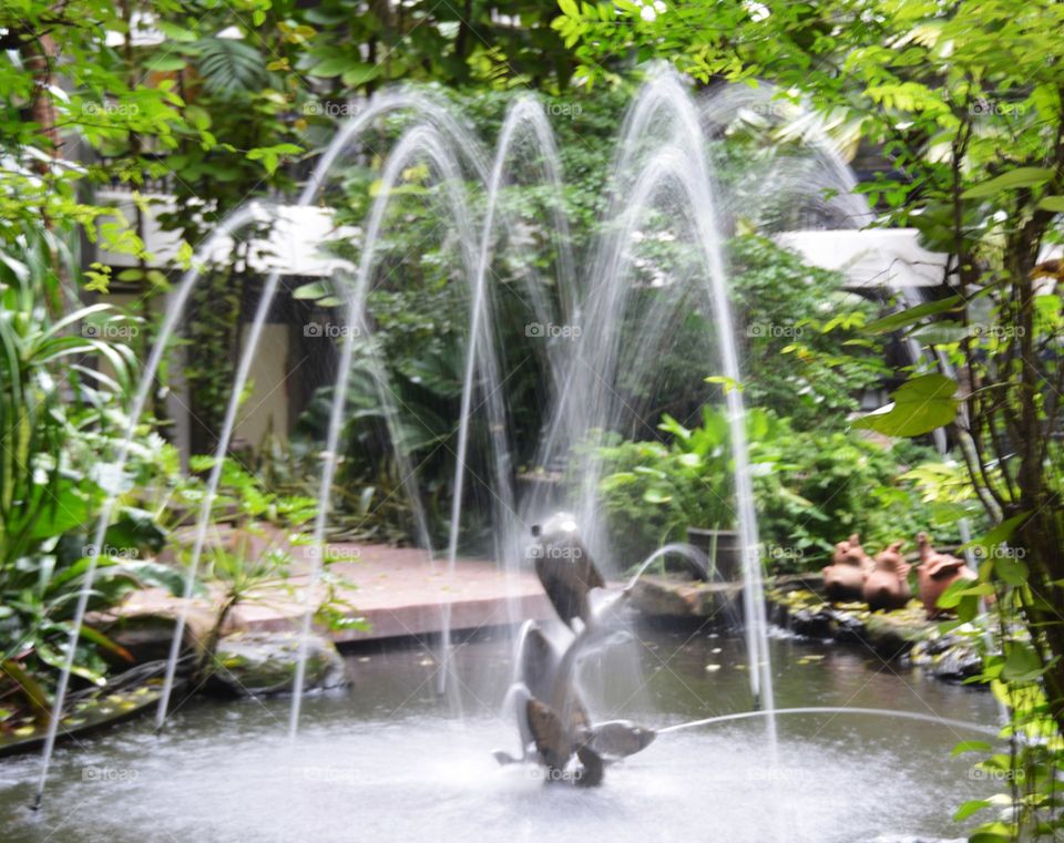 Fountain  in pond surrounding with plants