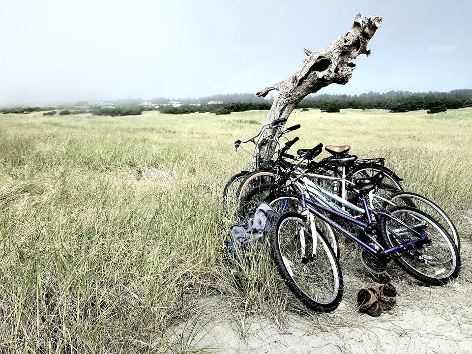 Wheel, Nature, Bike, Summer, Grass