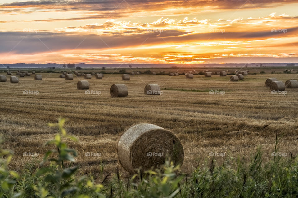 Sunset with hay rolls