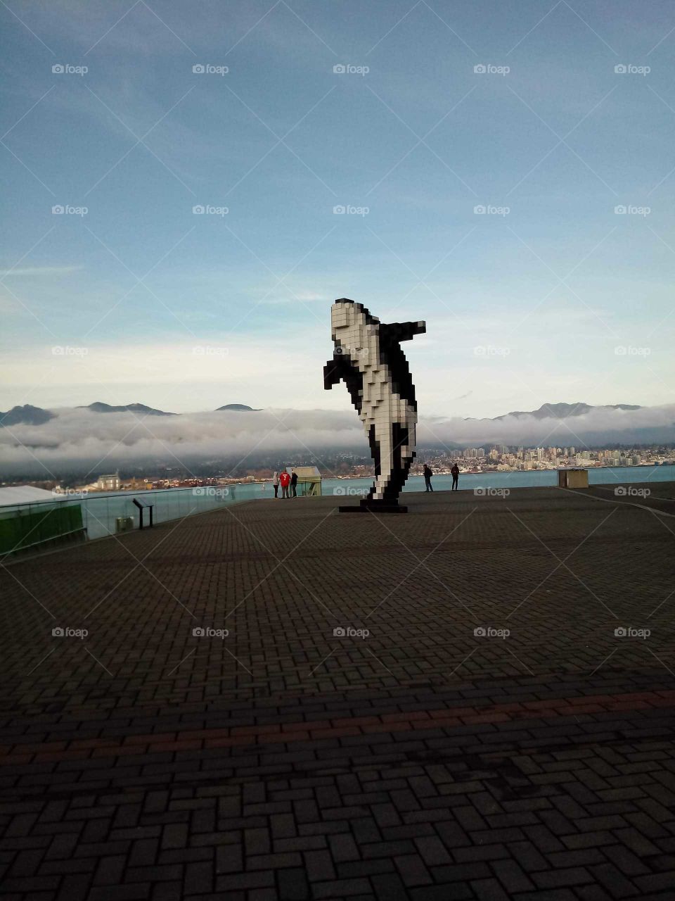 Vancouver whale