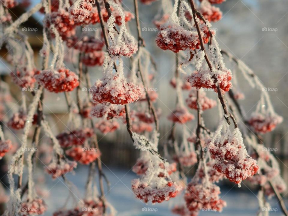 Красоты Сибири