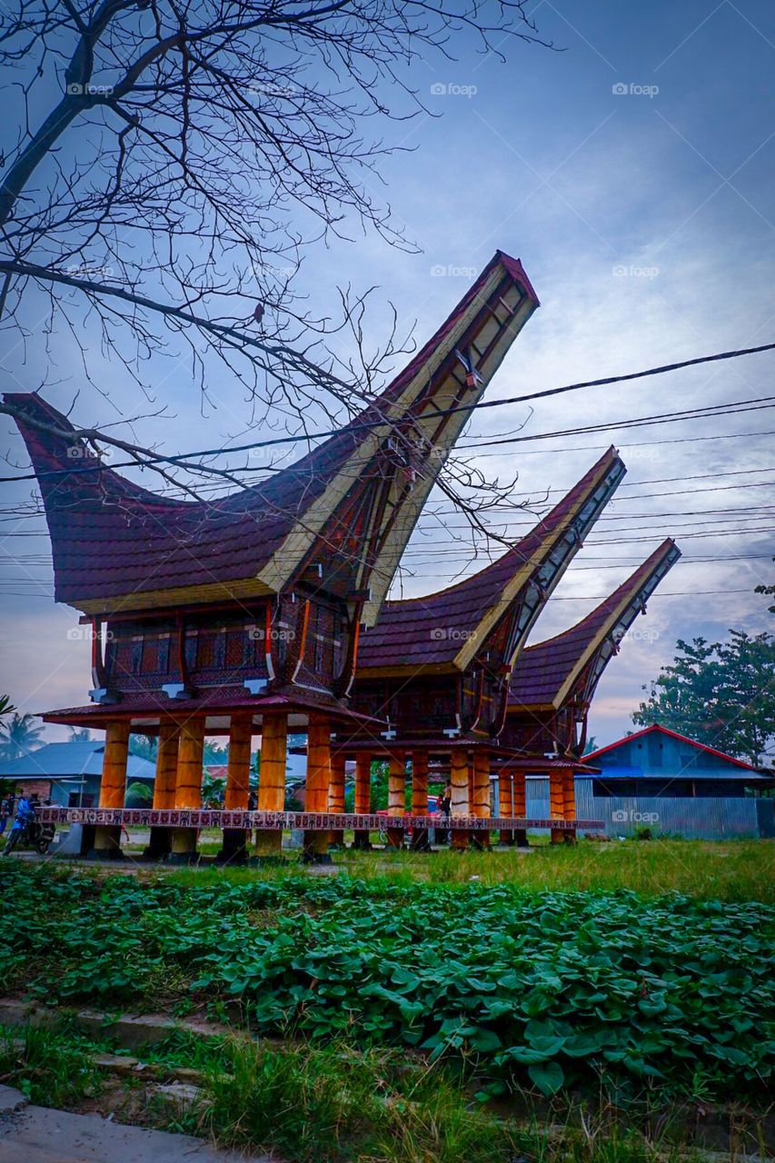 Tongkonan, Indonesian Traditional House