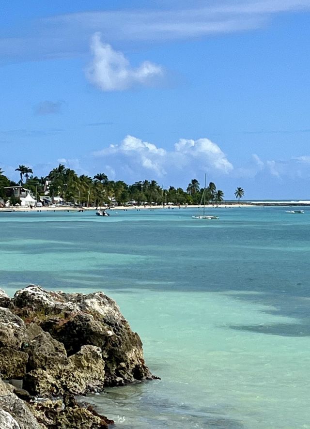 Landscape of a Caribbean beach with the turquoise sea