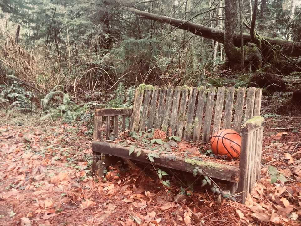 Abandoned basketball 