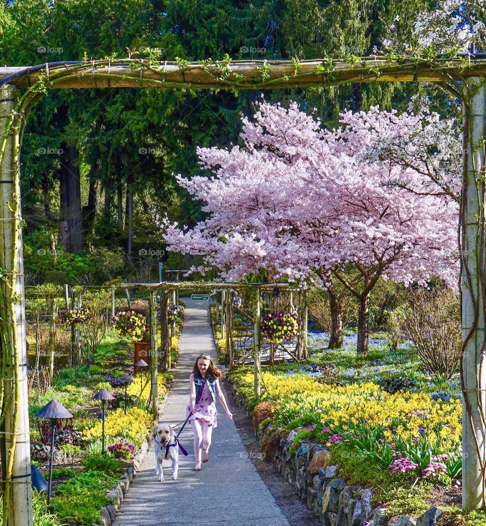 Walking my dog in a colourful garden of blossoms and blooms