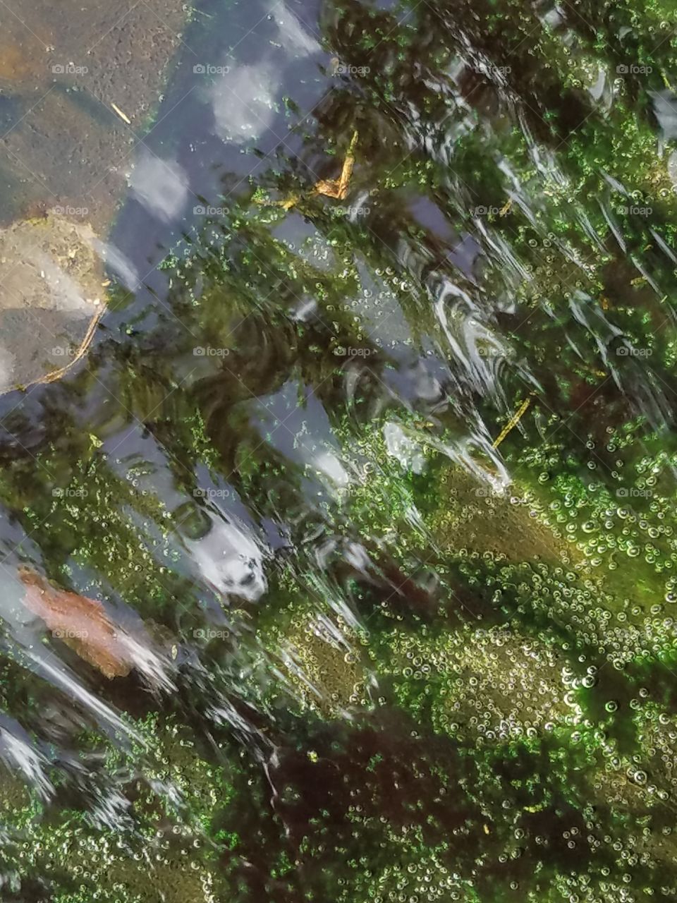 stream over moss