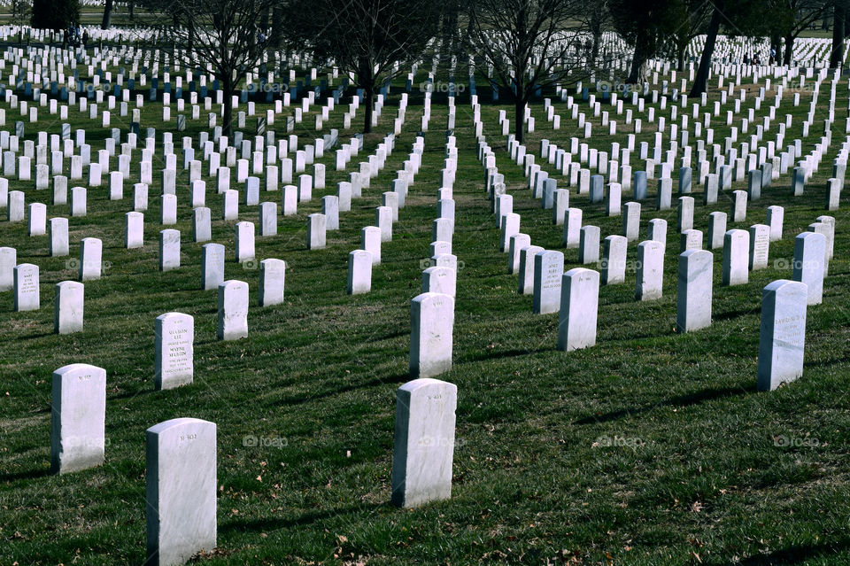 Arlington National Cemetery IV