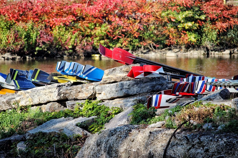 Rowing oars fall colors