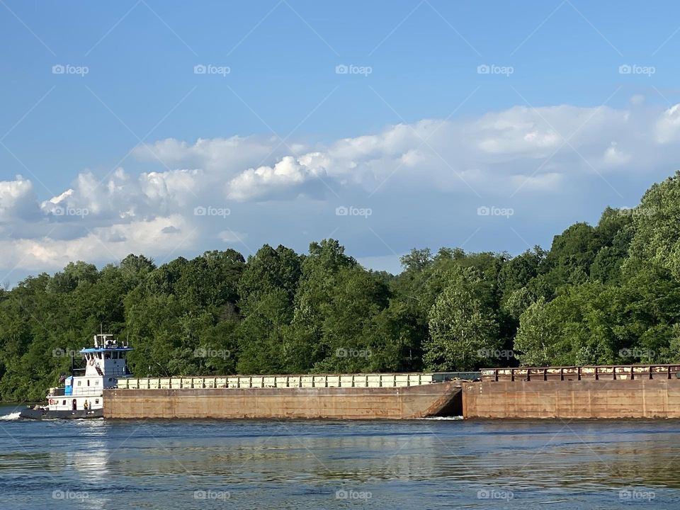 Row row row your boat 