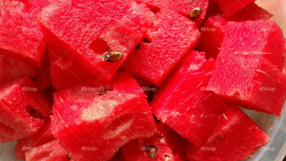 Pedaços em cubos de melancia madura. Deliciosa!