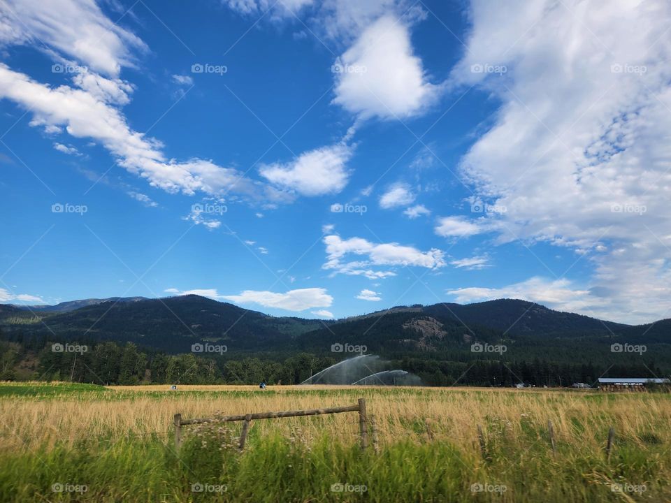 Golden farmland surrounded by mountains