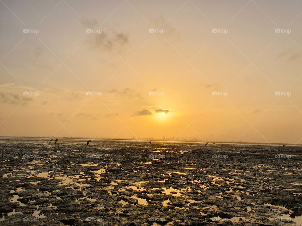 dumas beach, surat, india