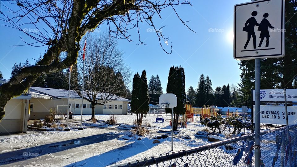 Winter at the school