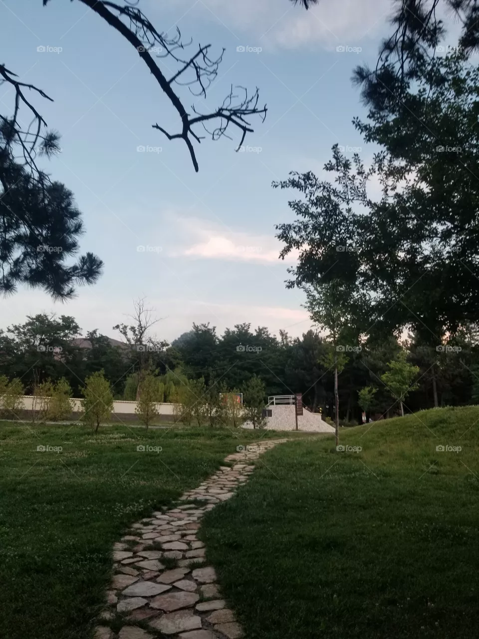nature