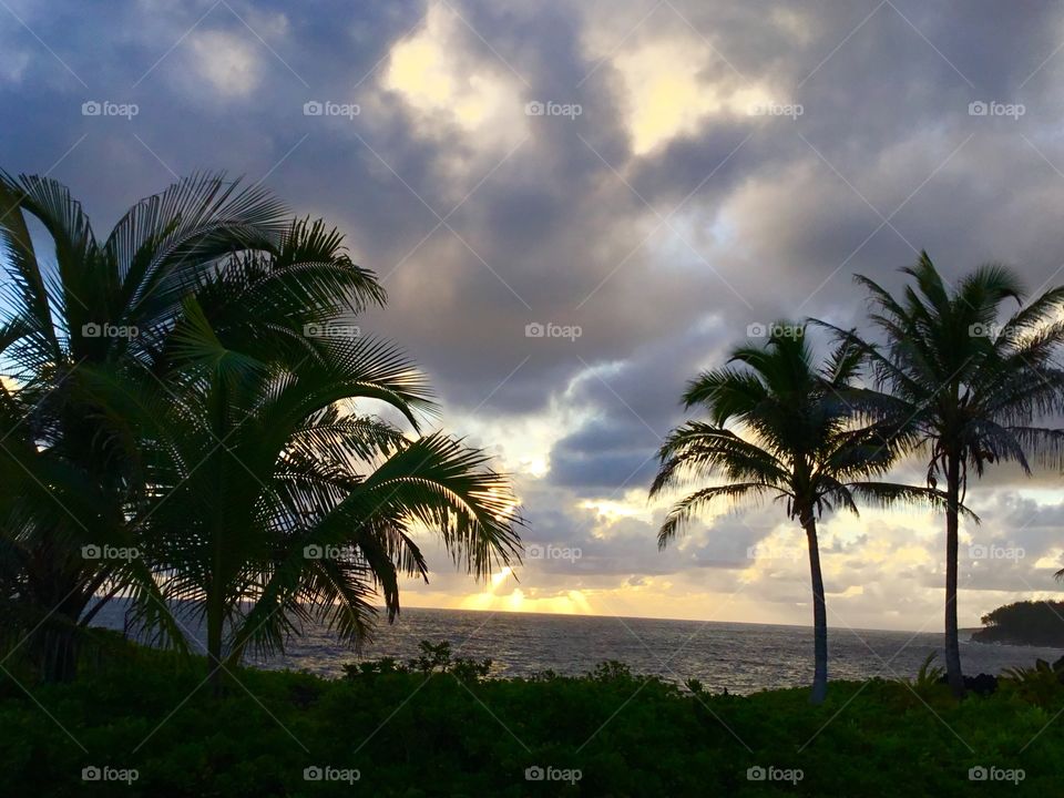 Sunrise on the east side of the Big Island 