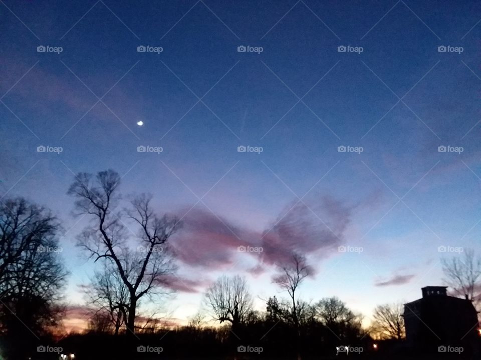 No Person, Sunset, Landscape, Dawn, Tree