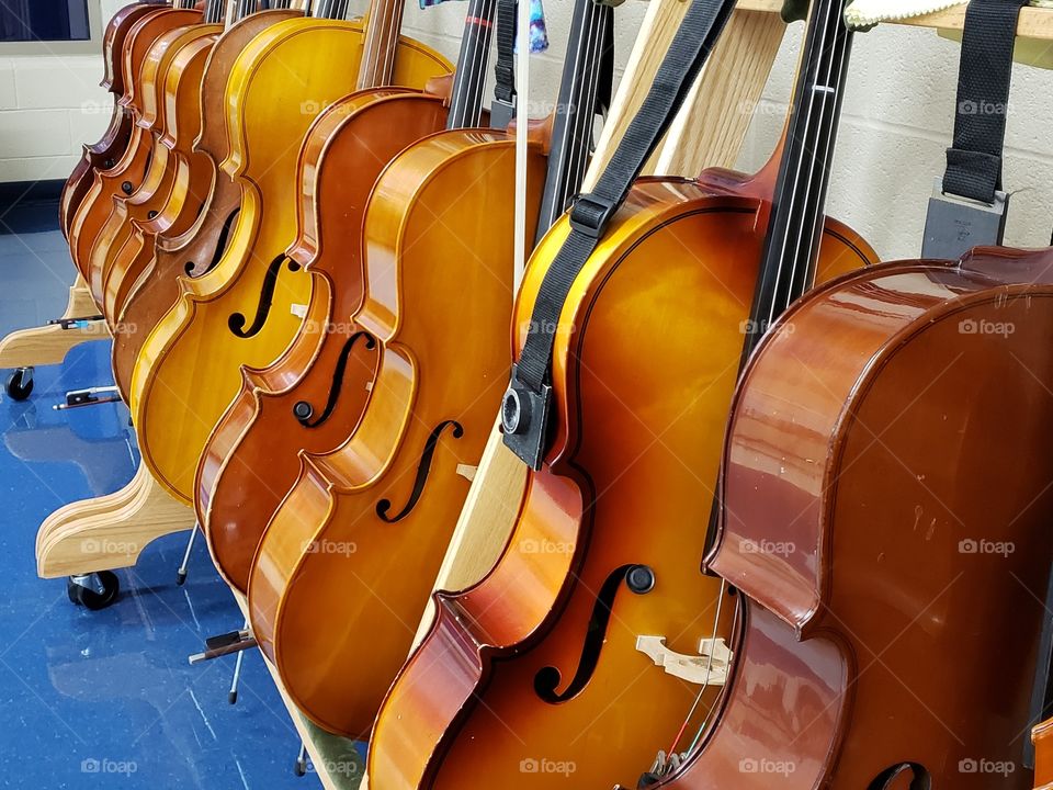 Hello cellos!
