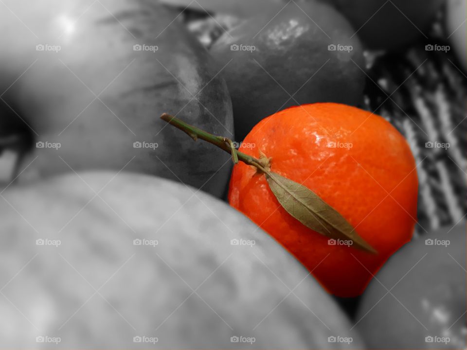 sweet little clementine between big apples