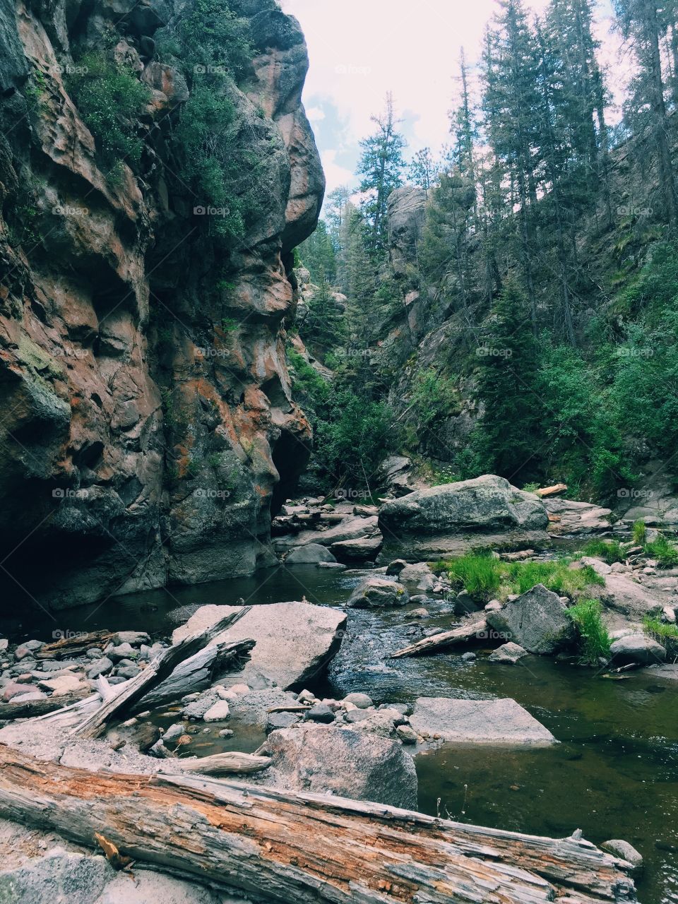 It's amazing how green New Mexico can get in the summer. 