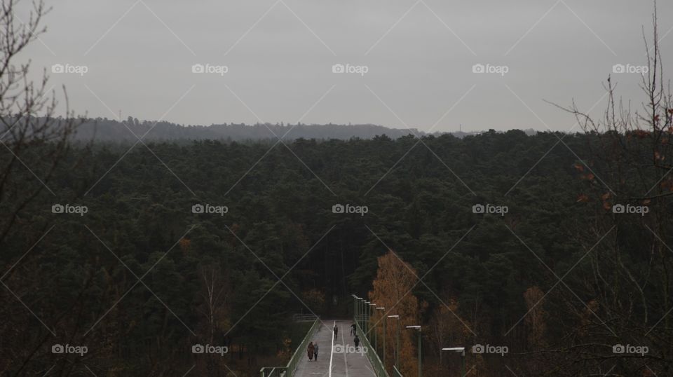 Walking makes me happy, seeing beautiful landscape makes me happy…