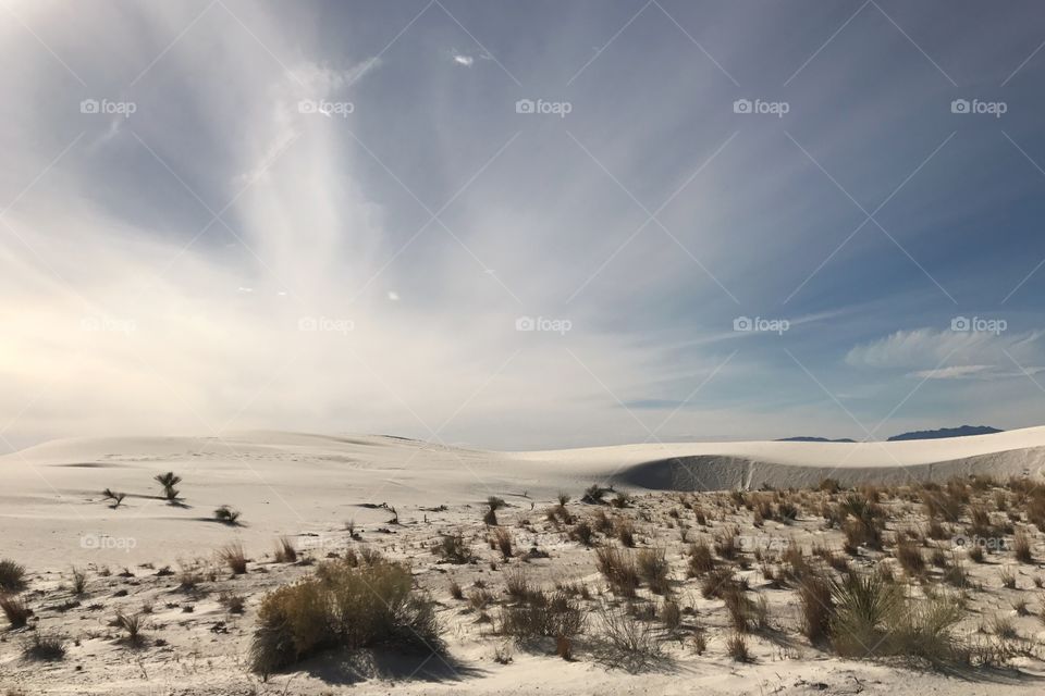 White sands, New Mexico, USA 