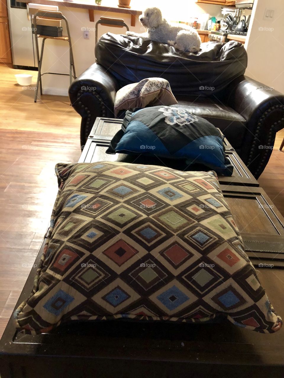 3 pillows, a chair and Rascal.