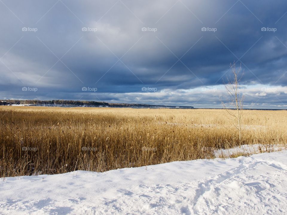 Scenic winter landscape in seashore