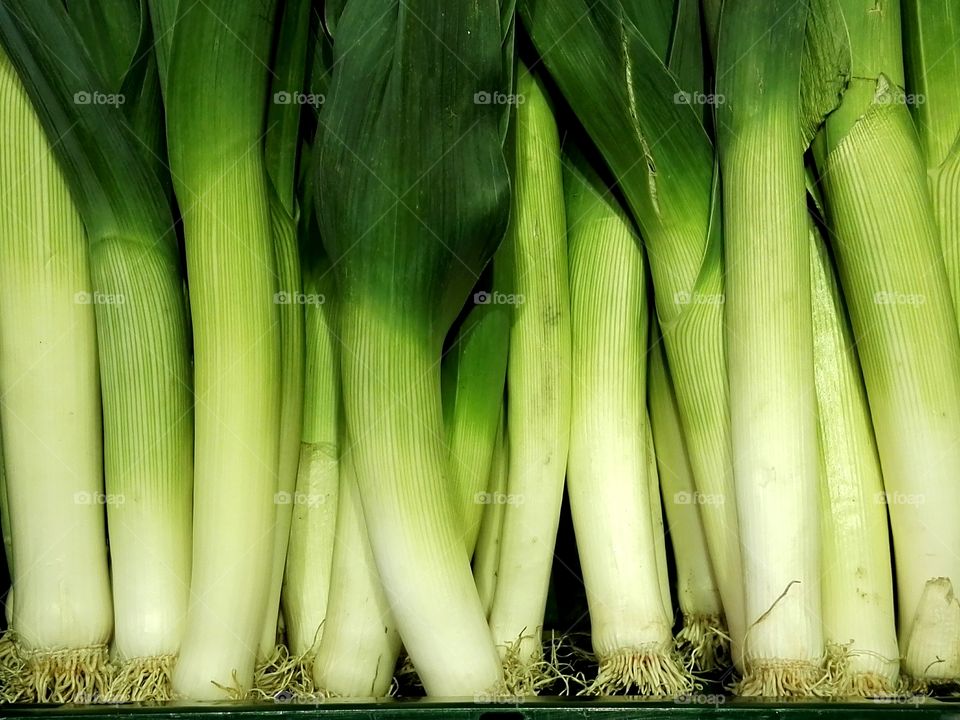 fresh green vegetable