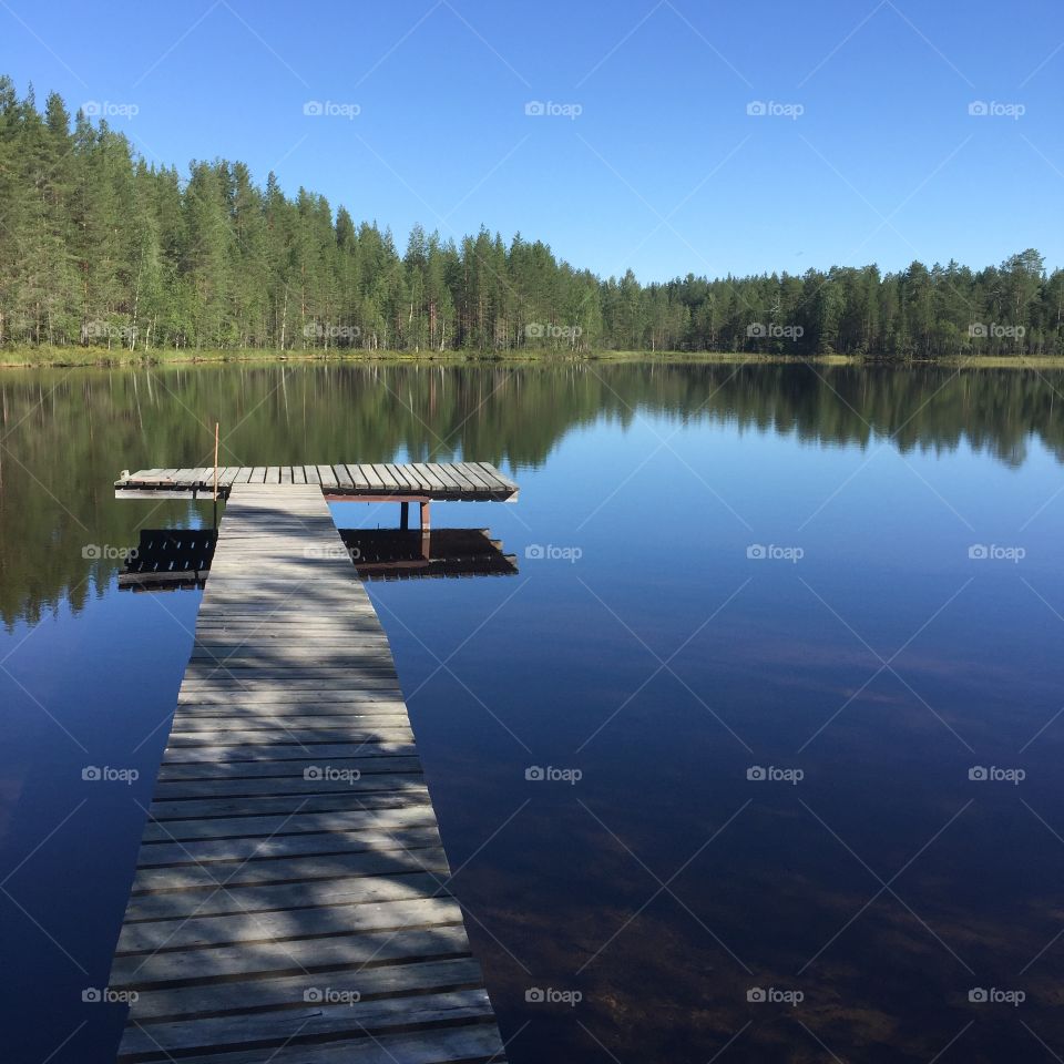 Forest and Lake