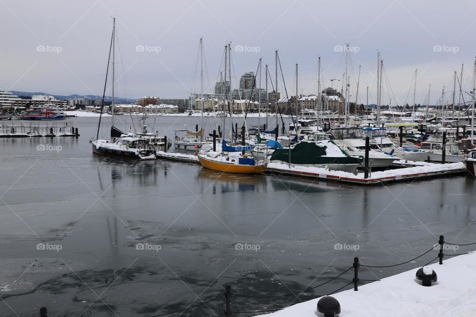 Inner harbour 