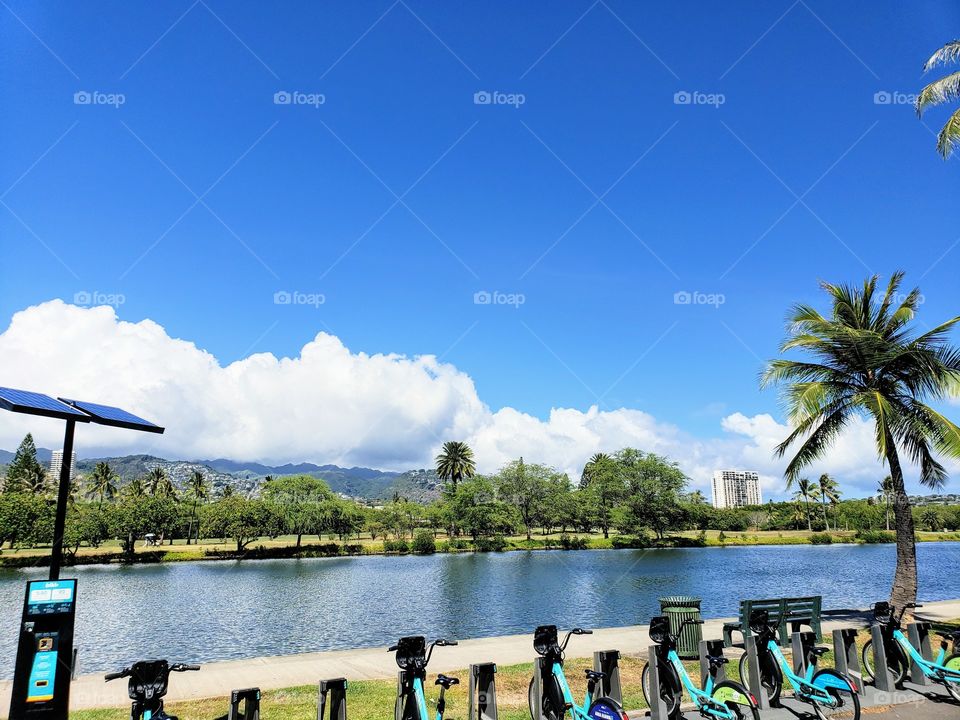 Ala Wai Canal