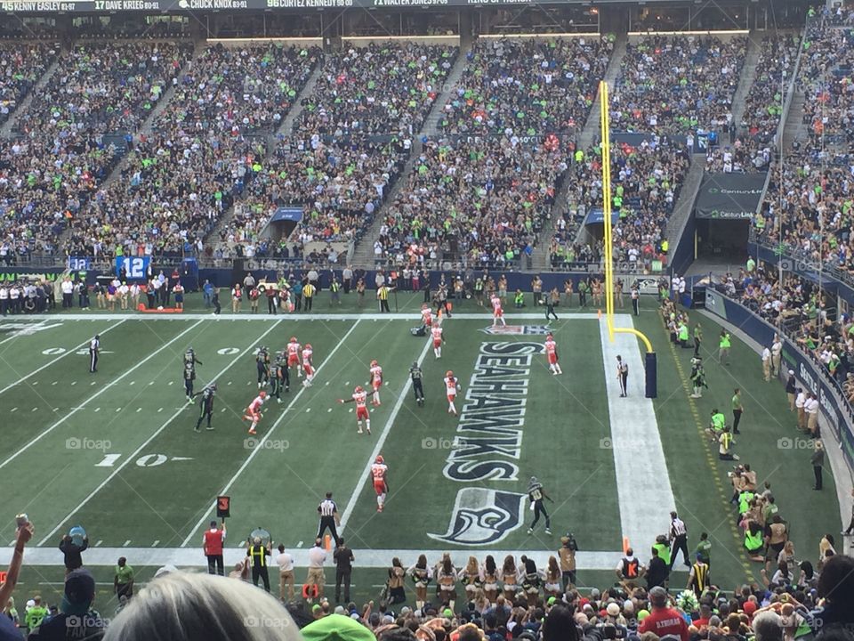 Go Seahawks 