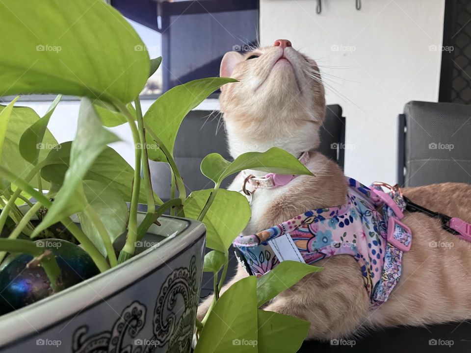 Where’s the fly gone