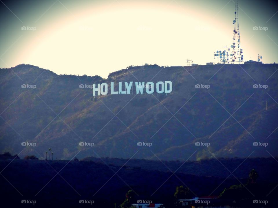 Hollywood where dreams come true.